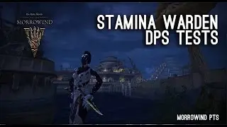 Хранитель выносливости &mdash; первые тесты DPS &mdash; Morrowind PTS