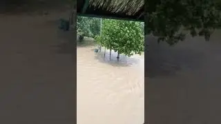 #kashmiri Gate #Delhi#Flood In Yamuna River