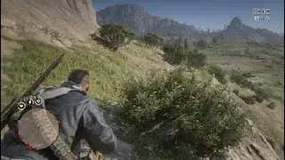 Red Dead Redemption 2_20260115023125