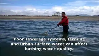 Wales' clean bathing waters - sampling bathing water quality