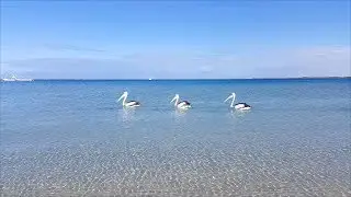 Bill's Bay | Coral Bay, Western Australia | Aug 15, 2019