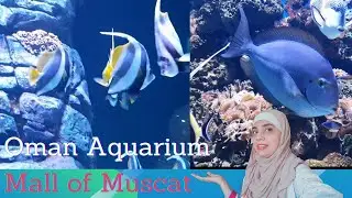 Largest Aquarium of Middle East Mall of Muscat|| travel vlog|  Cook it up.