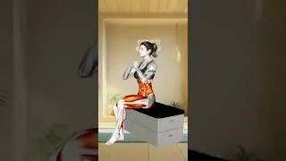 No Floor No Equipment Seated Ab Workout #abworkout #sittingworkout #beginnerworkout