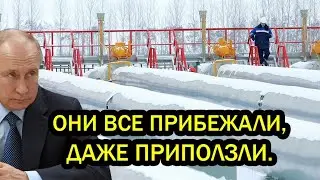 Они все прибежали, даже приползли. Финляндия и Прибалтика замерзли окончательно.