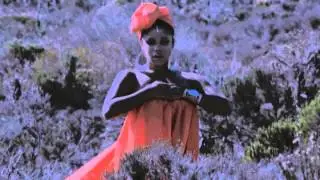 Aneesa Strings - Road Less Traveled