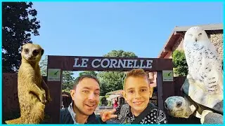 Parco faunistico  LE CORNELLE A BERGAMO 7 AGOSTO 2023 - andiamo a visitare gli animali #gita1