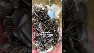 Incredible Aquamarine Mineral Specimens