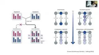 Admixture Presentation 3/8/22