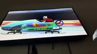 Mario & Sonic at the Sochi 2014 Olympic Winter Games - Knuckles in Roller Coaster Bobsleigh