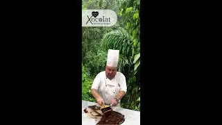 Dghchocolatier Bean 2 bar