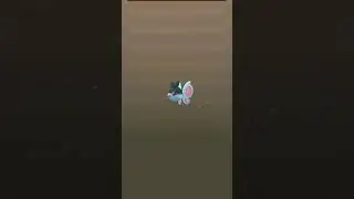 Pokemon Go 5km Egg Hatch