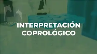 Interpretación Coprológico / GUÍA DE DIAGNÓSTICO DE LABORATORIO VETERINARIO.