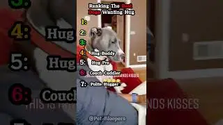 Ranking Dogs Hugging Their Humans