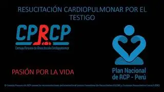 RCP presentaci&oacute;n ILCOR y ERC