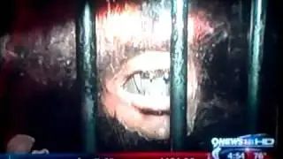 Casa Bonita Metromix 9 News