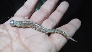 ジグヘッドにイカゲソを刺した仕掛けで癒しの釣りをする【リメイク】