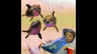 Shamana - Dolphin splash it when I whip it [EARRAPE]