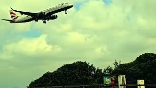 Faro Airport - DRAMA in paradise: when crabs lose their cool. Quando caranguejos se enervam