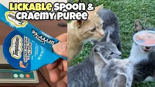 Temptations Creamy Puree & Lickable Spoons Cat Treats Compared 🟡 RadFelines