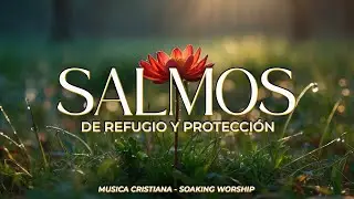 SALMOS CANTADOS ✨ | Paz y Protección en la Presencia de Dios 🕊️ | Salmo 91