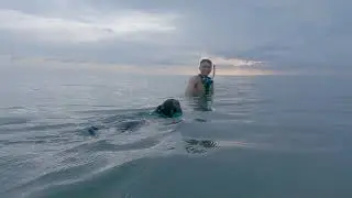 Phu Quoc Ridgeback dog swim