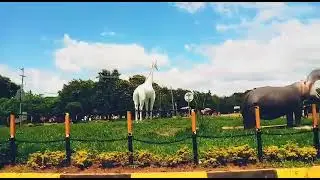 mpanda town