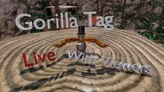 Playing gorilla tag vr stump(gorilla tag)