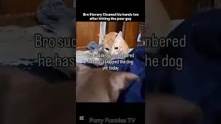 funny animals 2026 #61 #shortvideo #shortsvideo #shorts