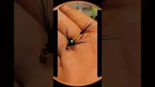 Steelhead  flies #fishing #fishingactivity #river #fishingtrip #Steelhead #fishing #river
