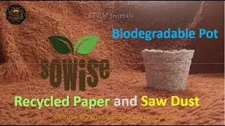 SOWise Biodegradable Pot - Using Recycled Paper and Dust to Create Plant Pot - STEM Research Project