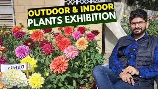 Karachi Press Club Flower Show 2026 | Beautiful Flowers & Garden Plants Exhibition | Karachi
