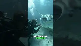 😱 &iquest;NAVE ESPACIAL de 7 METROS con CEREBRO GIGANTE? Este gigante hace VOLTERETAS 🌊 #curiosidades