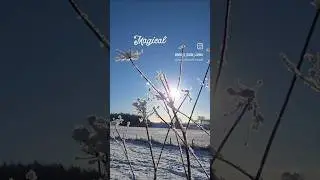 Winter wonderland #snow #ice #wintersun #magical #slowliving