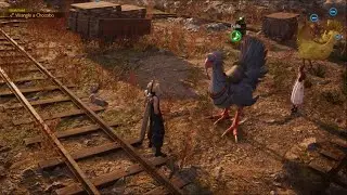 How To Catch Belle Junon Mountain Chocobos ( Black Chocobo ) FINAL FANTASY 7 REBIRTH PS5
