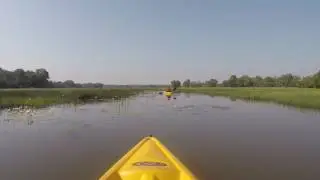 Kayaking in the backwaters of the Sal river in South Goa