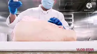 chef life ship life