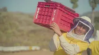 Bee Farming in Nepal - Mountain Bee Farm