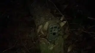 Setting up Game Cameras