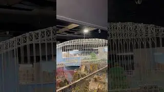 Model train running on this incredible bridge