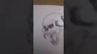 skull of vampire