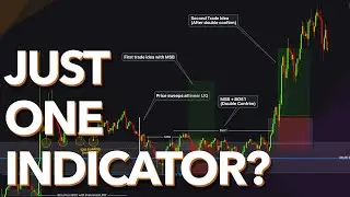 Just ONE Indicator! Why This Trading Indicator Downloaded 12600 Times by People?