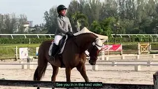STCEC ANNUAL HORSE SHOW 2025 - DAY 1 - DRESSAGE PRELIMINARY CLASS - RAKA RIDING KENSINGTON 