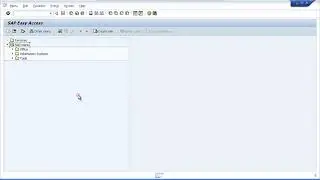 005 First Look At The ABAP Workbench