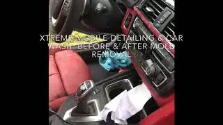 Car Mold removal