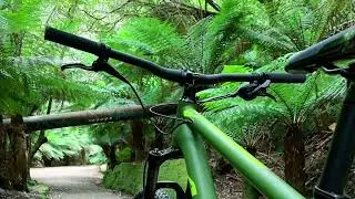 Cycling pipeline Track (Mt Wellington).