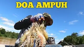 DOA ampuh bagi mendapatkan hasil udang galah yang lumayan #udanggalah #shrimpfishing