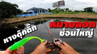 ตกปลาช่อน หมายคลองลอก ปลายาง Texas Rig เจอปลาช่อนใหญ่ตัวเเรกของปี
