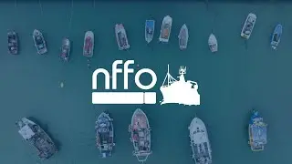 An insight into the NFFO