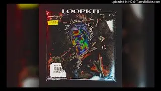 (FREE +10) Lil Baby Loop Kit / Sample Pack 2021 -  