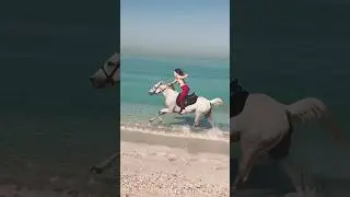 Beach horse riding Dubai #horselover #horselov #horseriding #horsegirl #gallopracer